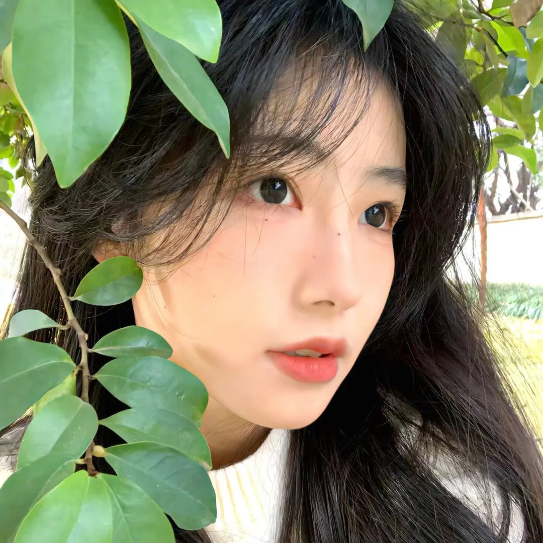 绯闻女主播